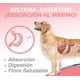 thumbnail image 4 of Aceite de Salmón para Perro Fancy Pets 490ml, 4 of 5