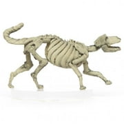 Role 4 Initiative Wolf New