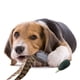 thumbnail image 2 of Dog Training Toy for Jump Exercise Outdoor Retrieving Puppy Training Dummy Toy Interactive Dog Entertainment Toy Fowl, 2 of 4