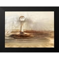 thumbnail image 2 of Westum, Heidi 14x11 Black Modern Framed Museum Art Print Titled - Golden featherdrops, 2 of 5