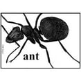 thumbnail image 2 of CafePress - Ant Mug - 11 oz Ceramic Mug - Novelty Coffee Tea Cup, 2 of 3