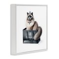 thumbnail image 3 of Stupell Industries Eclectic Glam Cat Shopping Bag White Framed Giclee Art, 17 x 17, by Amanda Greenwood, 3 of 8