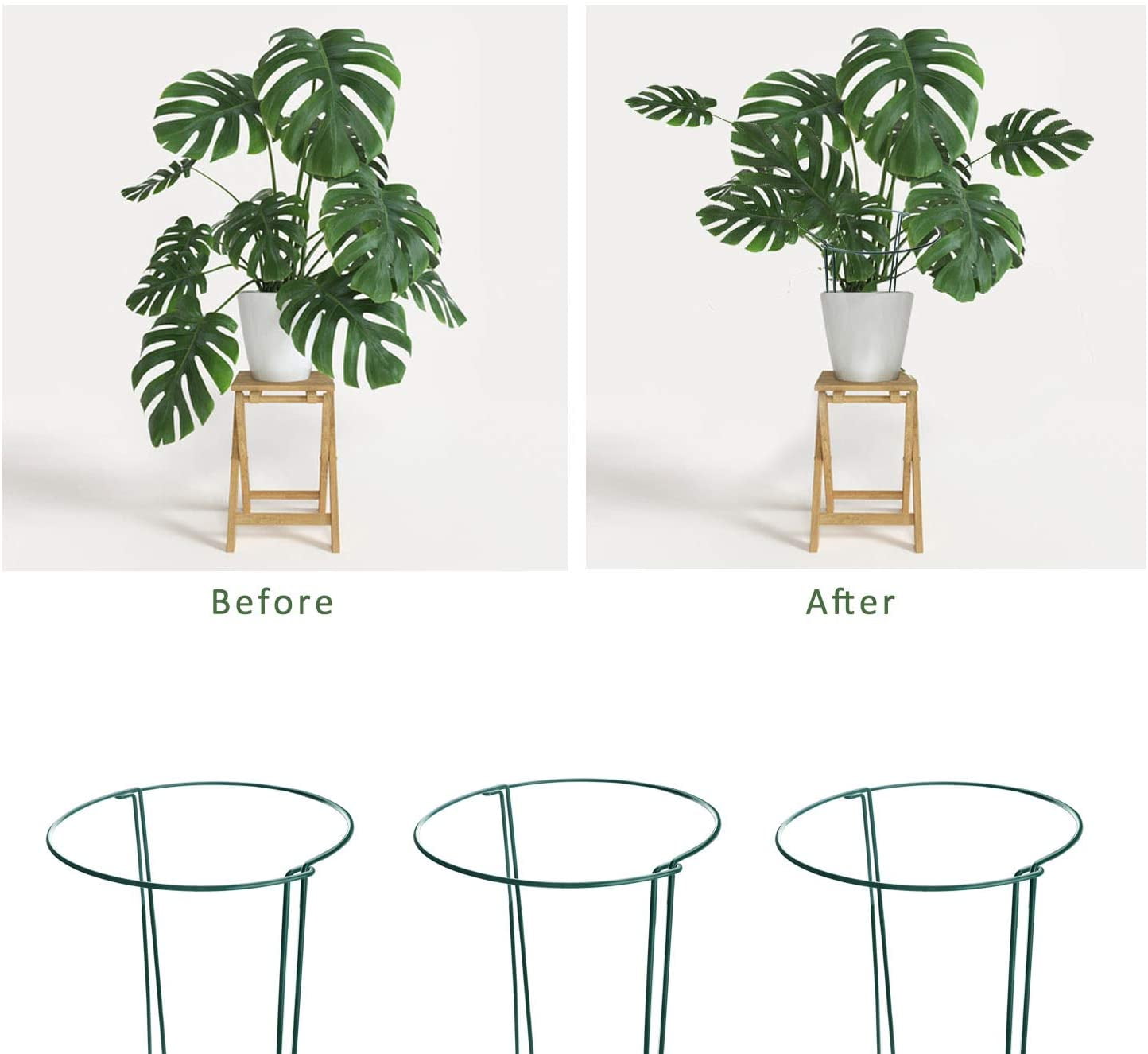 6 Pack Plant Support Stakes, Metal Garden Plant Stake, Outdoor Tall Plant Support Ring Cage,Large Plant Supports for Peony, Tomato,Vegetable, Hydrangea,Rose,Flowers Vine