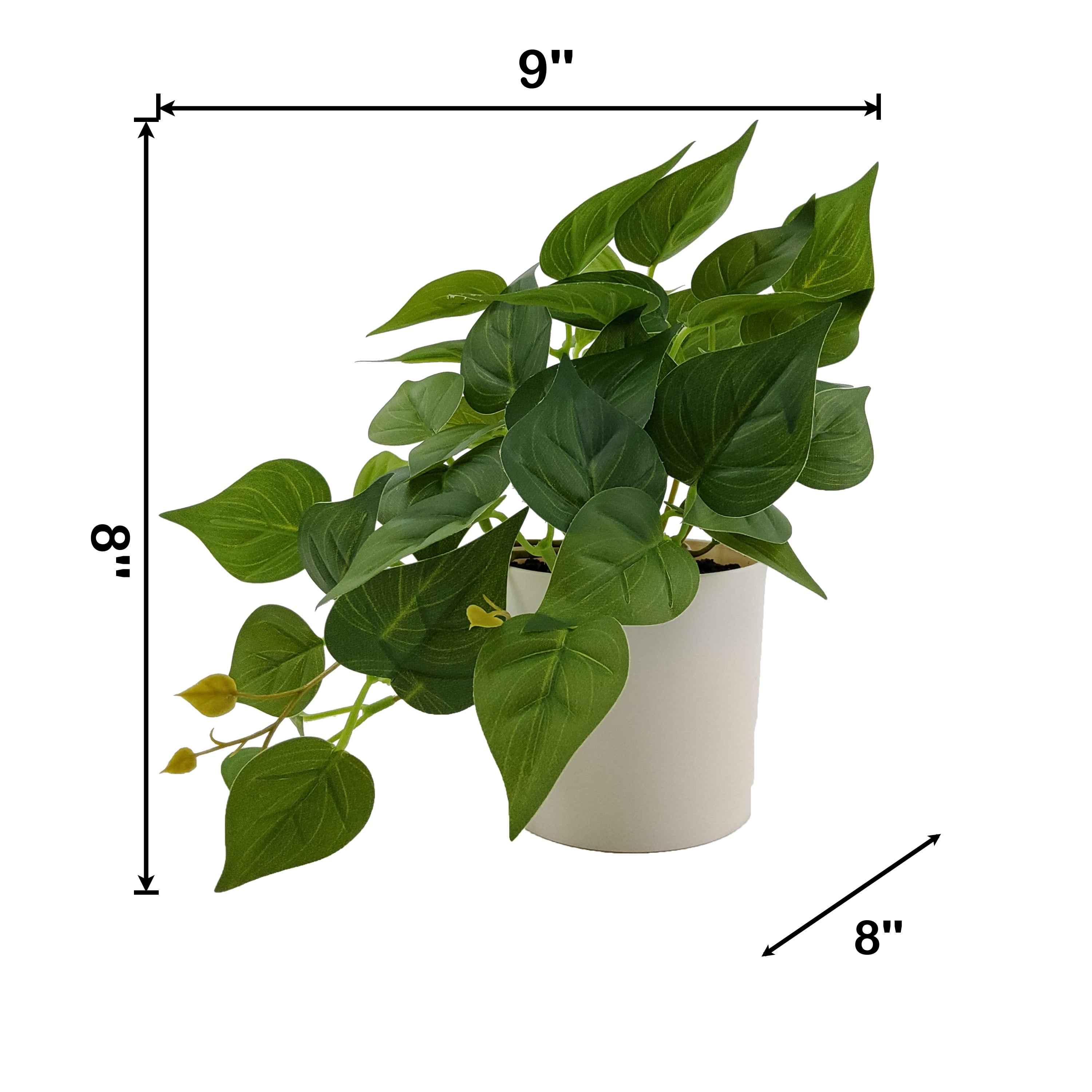 Mainstays Indoor 8''H Artificial Trailing Pothos Plant in White Plastic Pot, Green Color.