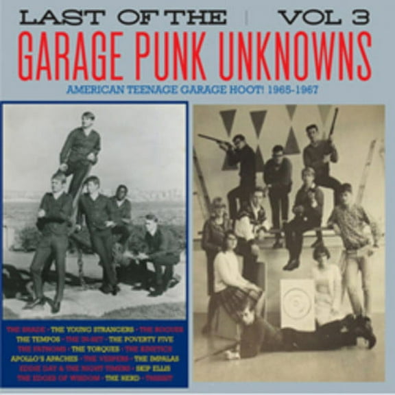 Last of the Garage Punk Unknowns 3 - Vinyl