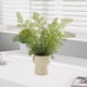 thumbnail image 3 of Decoración de Planta Verde Simulada, Plantas en Macetas Pequeñas, Decoración de Sala de Estar, Flores Artificiales, Plantas Verdes Eternas, Decoración de Bonsái Interior Decoraciones Del Hogar para La, 3 of 6