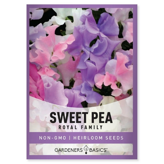 Annual Sweet Pea Royal Family Mix Seeds