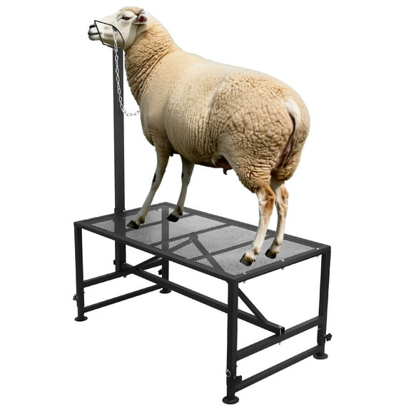 500 LBs Goat Stand with Feed Bin, Goat Milking Stand for Sheep Trimming and Milking, Hoof Trimming Stand Adjustable Size, with Feeder, Iron Black