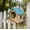 Blue, variant on Wooden Bird House With Colorful Roof For Hanging Or Wall Mounting Outdoor Bird Feeder And Garden Decor 1 Count