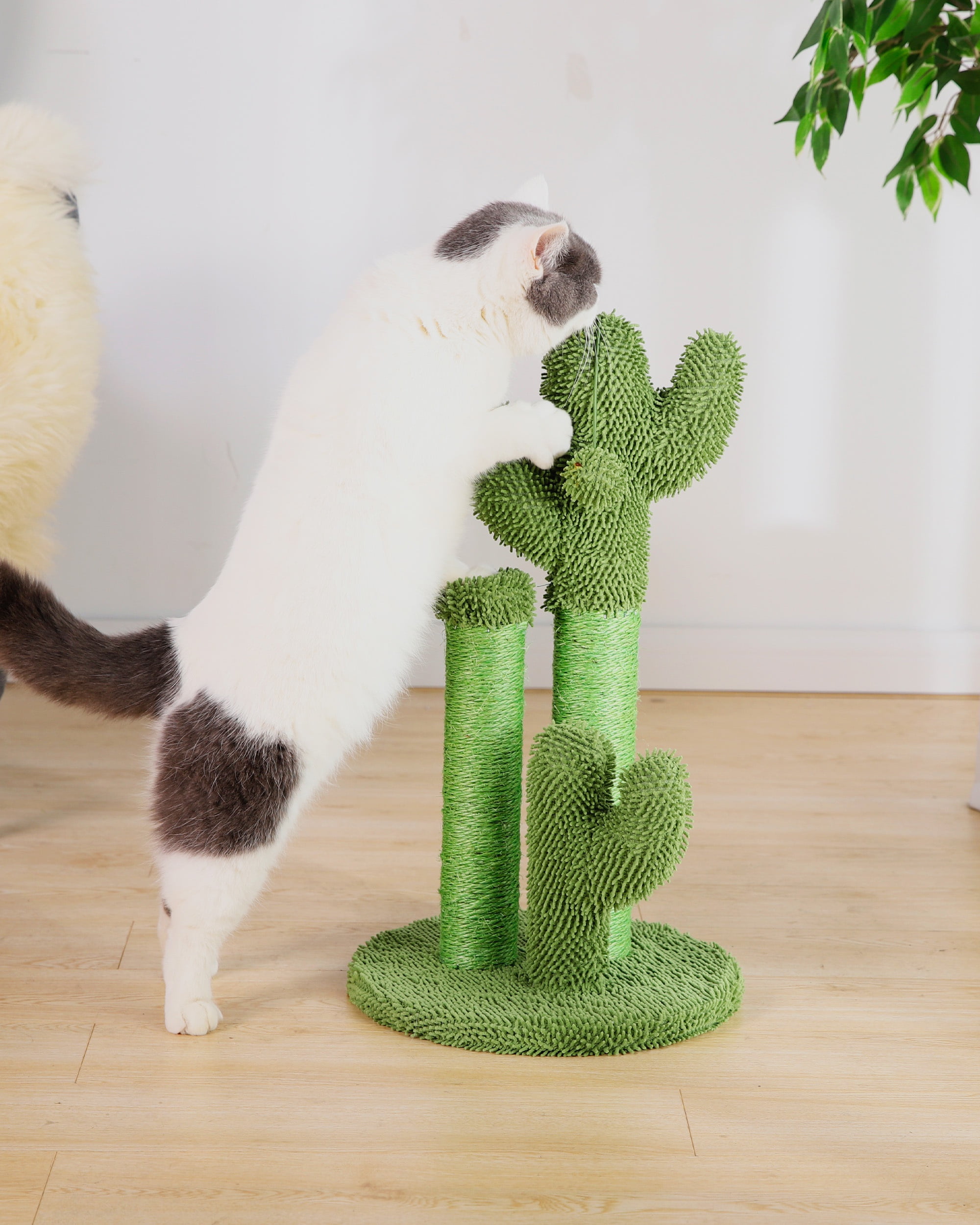 Vibrant Life Cactus Cat Scratching Post with Toy Ball, Green