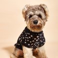 thumbnail image 3 of Reheyre Eye-Catching Breathable Polyester Pet Clothes - Fade-Resistant Puppy 2-Legged Pullover - Perfect for Autumn, 3 of 8