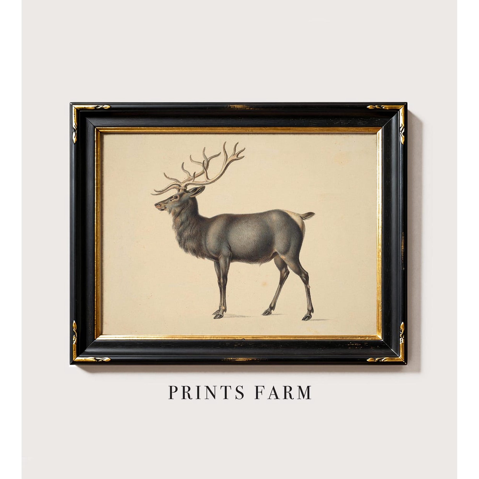 Vintage Deer Woodland Hunting Wall Art Print Living Room And Gallery Wall Decor
