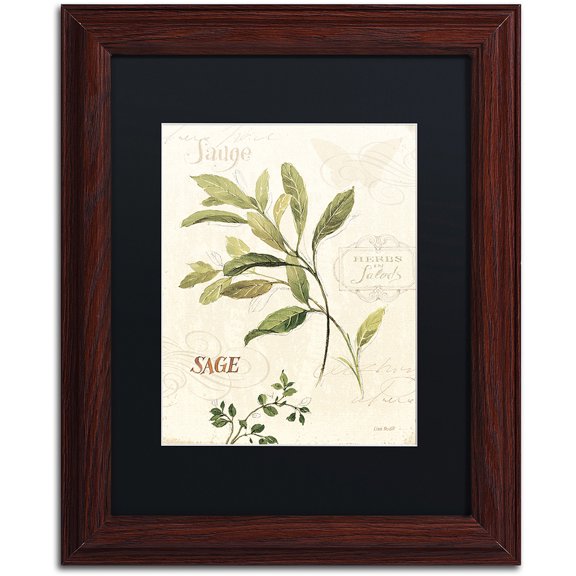 Trademark Fine Art "Aromantique IV" Canvas Art by Lisa Audit, Black Matte, Wood Frame