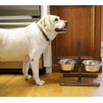 thumbnail image 2 of Iconic Pet Adjustable Stainless Steel Pet Double Diner For Dog, 5 Qt, 160 Oz, 20 Cup, 2 of 13
