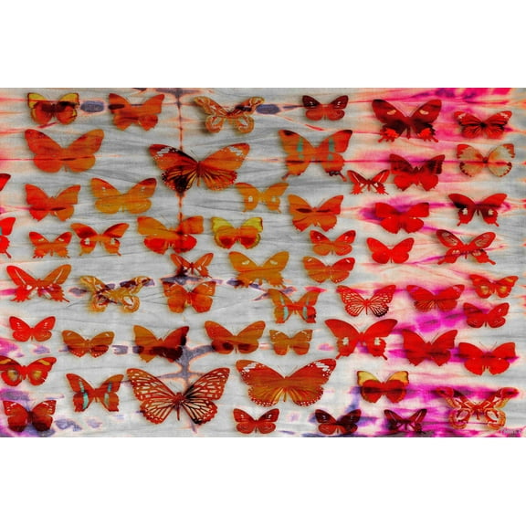 Parvez Taj Moths Art Print on Premium Canvas