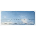 thumbnail image 1 of Animal Kitchen Mat, Swallows Sitting on Power Cord Relaxing Tranquil Spring Day Clear Sky, Plush Decorative Kitchen Mat with Non Slip Backing, 47" X 19", Pale Blue Black White, by Ambesonne, 1 of 1