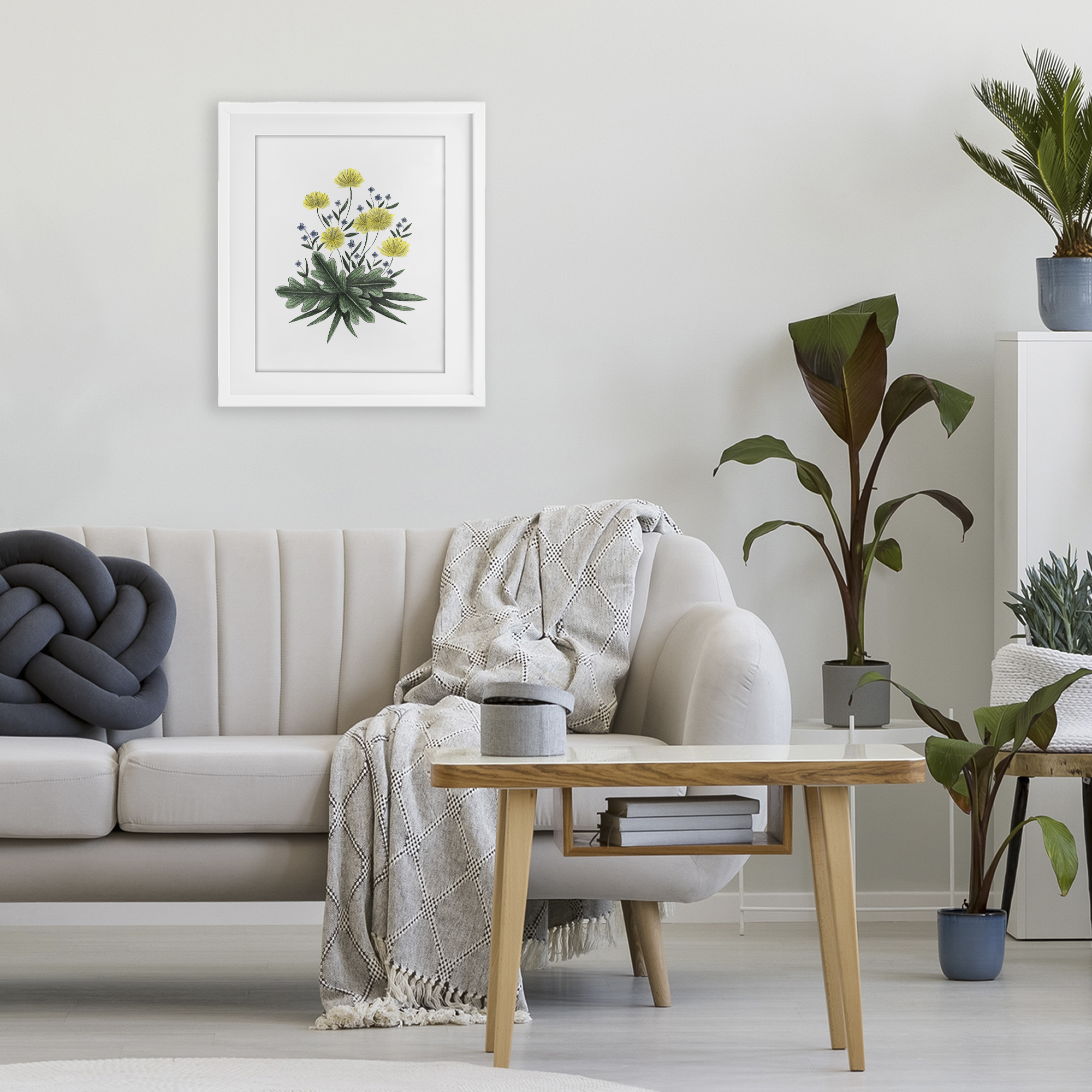 Dandelion Flower Illustration White Framed Print Under Glass, design by Cecilia Battaini