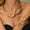 80869702, variant on 2Pcs Chunky Gold Statement Jewelry Set for Women Bold Golden/Silver Choker Necklace Bracelet Ring Set Minimalist Open Adjustable Geometric Collar Necklace Fashion Jewelry Accessories for Women