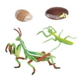 thumbnail image 4 of Juguetes Educativos de Aprendizaje Sunnimix Juego de crecimiento de insectos para niños, 4 of 8