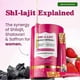 thumbnail image 5 of Shilajit Honey Sticksshilajit Honey Sticksshilajit Honey Sticksshilajit Honey Sticks Box, 5 of 5