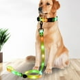 thumbnail image 3 of CBFFDC Flashing Dog Collar LED Light Dog Collar Adjustable Length USB Rechargeable 3 Light Modes Wrapped Rubber Webbing Night Glow Collar, 3 of 7