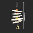 thumbnail image 3 of Parrot Natural Cuttlefish Bone Hanging String Calcium Supplement Toy Teething Tools Pet Supplies, 3 of 9