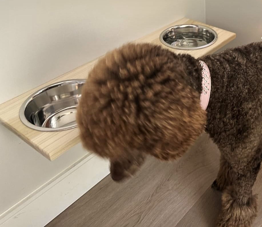 Chic, Floating, Wood, Height-Flexible Wall Mount Dog/Cat/Pet Food & Water Bowl Holder/Feeder with 3 S.S. Dishwasher-Safe Bowls (~ 2 Quart / 64 oz / 1890 ml) for Large Pets. 3-Screw Installation.