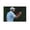 Unframe-style, variant on Scottie Scheffler Posters Print Photo Art Painting Canvas Poster Home Decorative Bedroom Modern Decor Posters Gifts 20x30inch(50x75cm)