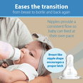 thumbnail image 6 of Dr. Brown's Anti-Colic Options + Narrow Glass Baby Bottle Starter Set, 6 of 10
