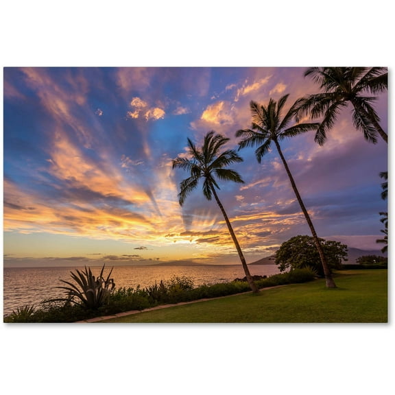 Trademark Fine Art 'Magical Hawaiian Sky' Canvas Art by Pierre Leclerc