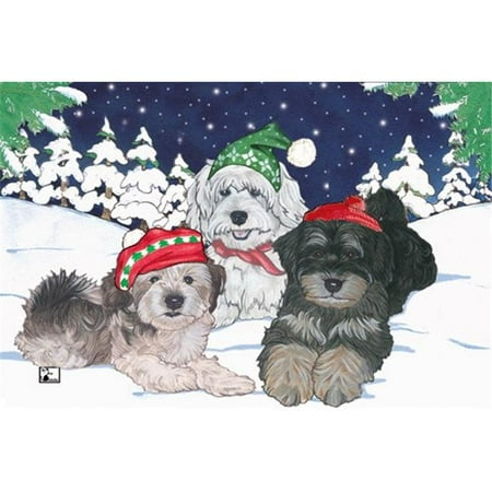 Pipsqueak Productions C503 Holiday Boxed Cards- Havanese
