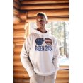 thumbnail image 5 of Election 2024 Biden USA Patriotic Aviator Glasses Mens Pullover Hoodie, 5 of 5
