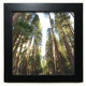 thumbnail image 1 of Luz verde ciencias forestales paisajes naturaleza Mesa de pared con marco cuadrado negro, 1 of 4