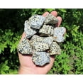 thumbnail image 2 of Dalmation Jasper Rough Natural Stones Bulk Wholesale lots - Raw Jasper Crystals, 2 of 7