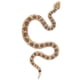 thumbnail image 5 of Modelo de serpiente de simulación, juguete de serpiente de alta simulación, modelo de serpiente, juguete de tecnología avanzada, 5 of 13