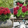 thumbnail image 7 of Morttic 2 Pcs Artificial Geraniums for Outdoor Silk Geranium Flowers Red Artificial Geranium Bush Faux Flowers Geraniums Branch for Garden Patio Grave Cemetary Vase Table Centerpiece Indoor Decor, 7 of 7