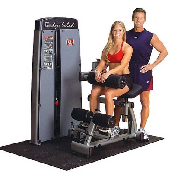 Body Solid - Pro Dual Ab and Back Machine-w/ Weight Stack