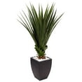 thumbnail image 1 of Nearly Natural 6964 Agave à Pointes de 4,5 Pi dans un Planteur Noir, 1 of 3