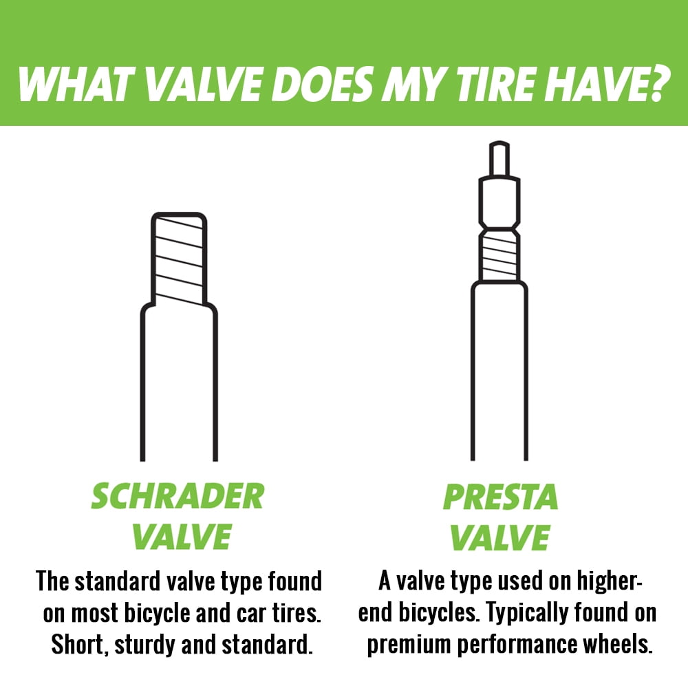 type of bike valve