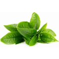 thumbnail image 4 of baomifa-UFO activated mask Green Tea, 4 of 4