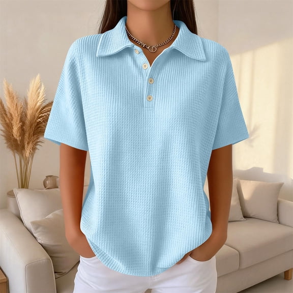 Women's Waffle Knit Short Sleeve Button Down Collared Polo Shirt Casual Loose Fit Tops for Spring Light Blue 2XL