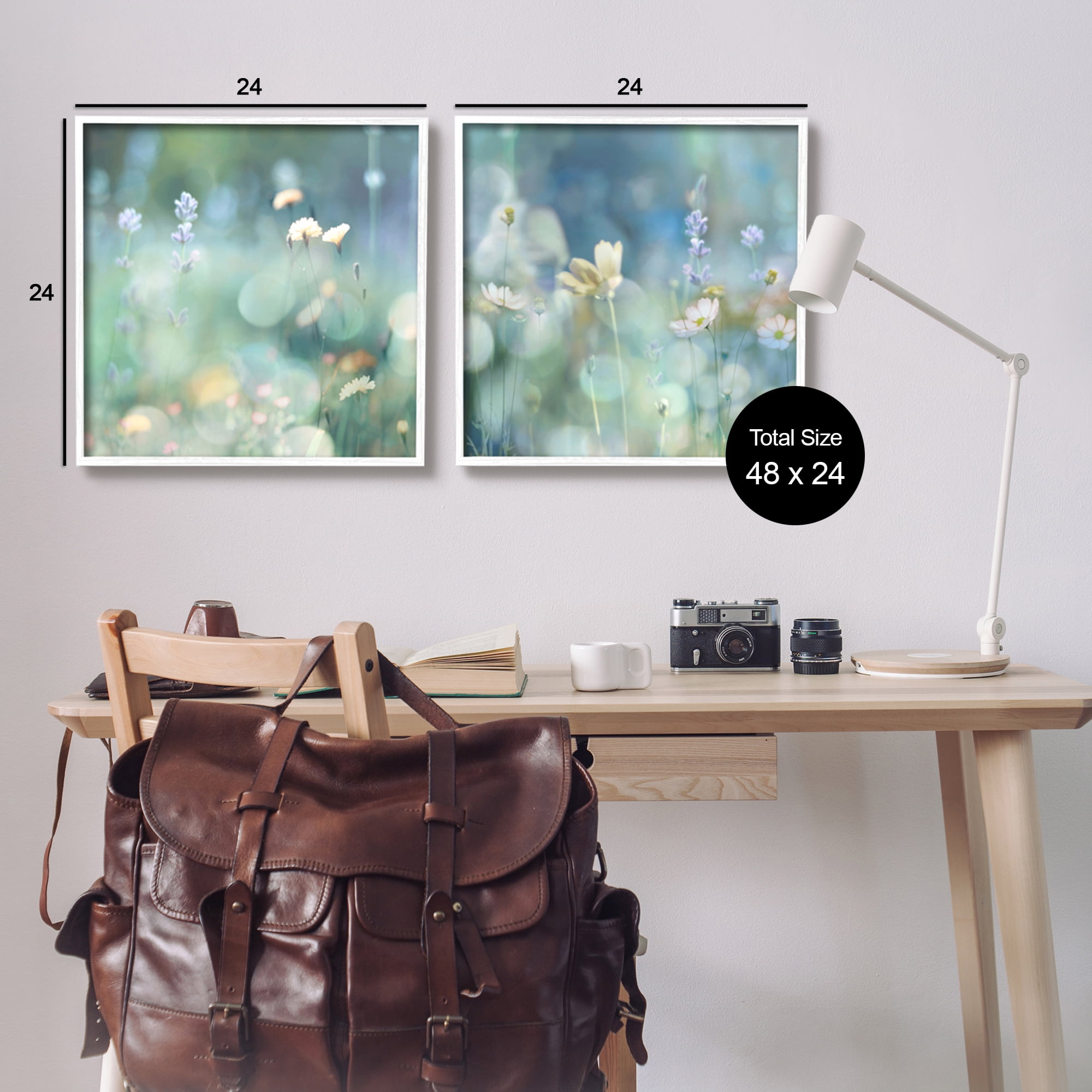 Stupell Industries Sunlit Daisy Field Botanical & Floral Photography White Framed Art Print Wall Art, 24 x 24