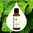 thumbnail image 3 of Plant Therapy Patchouli Essential Oil 100% Pure, Undiluted, Natural Aromatherapy, Therapeutic Grade 30 mL (1 oz), 3 of 9