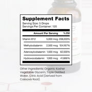 BioActive B12 Full Spectrum Vegan Methylated Vitamin B12 Sublingual Liquid Methylcobalamin, Hydroxocobalamin & Adenosylcobalamin 1,000 mcg per Drop (5 Drops 5,000mcg / 4 Month Supply) 20 ml