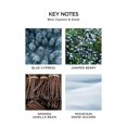 thumbnail image 3 of Set de difusores NEST New York Festive con 3 aromas de 40 ml cada uno, 3 of 5