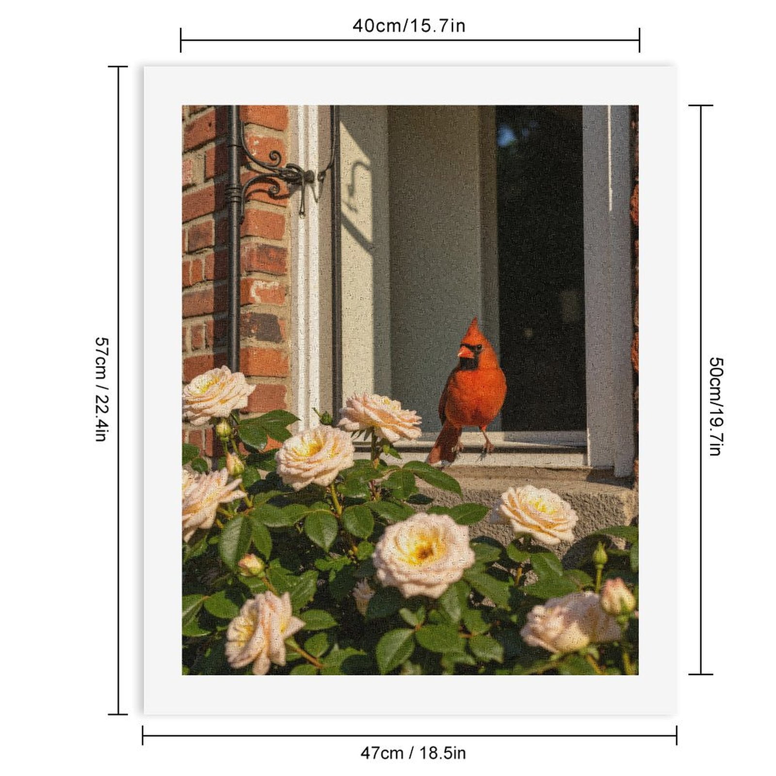 Paint by Numbers Kit for Adults, Cardinal Roses Brick Wall Window Paint by Numbers, Easy Paint by Numbers Kit for Adults Beginner, DIY Adult Paint by Number Kits on Canvas, Home Decor