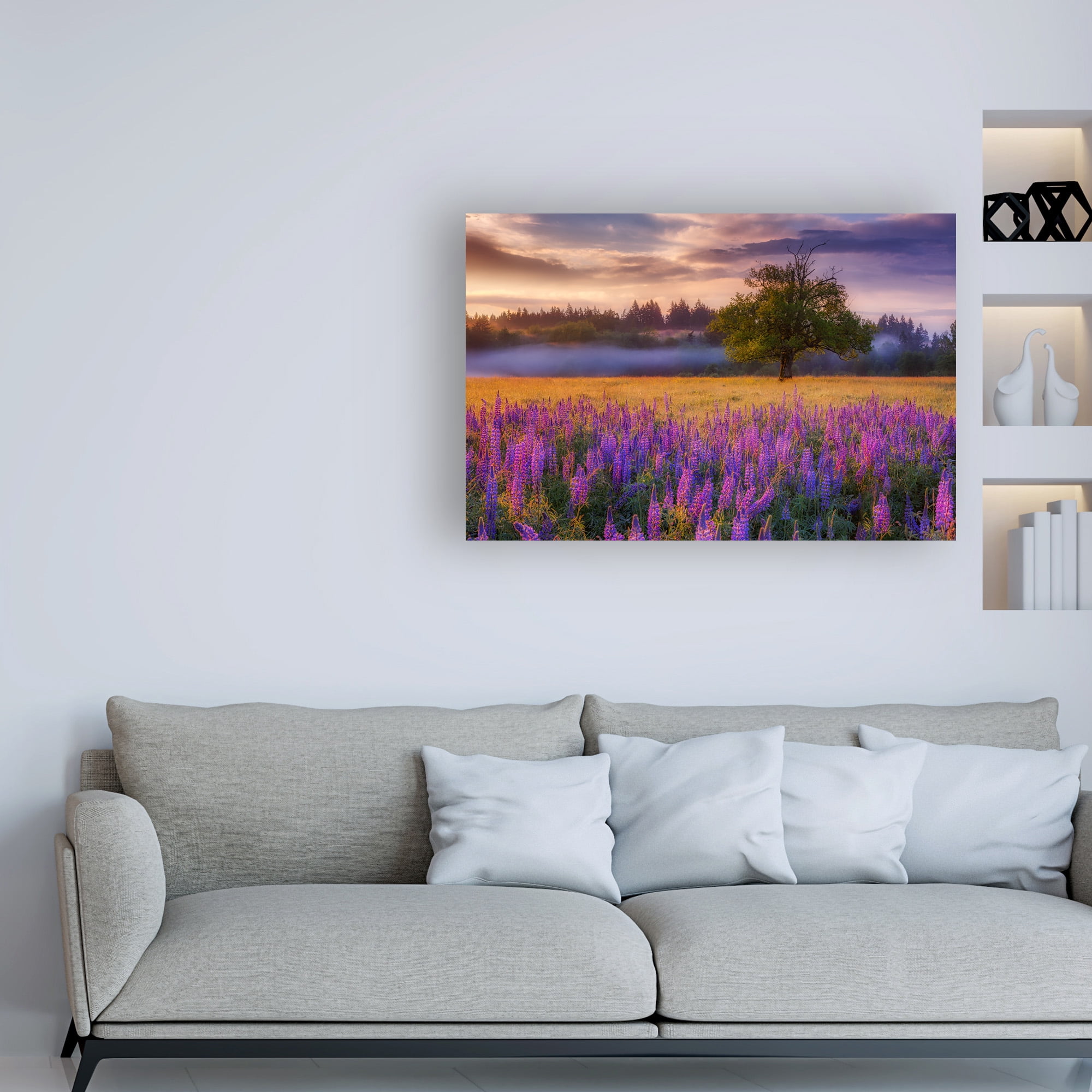 Trademark Fine Art 'Lupine Sunrise' Canvas Art by Darren White Photography