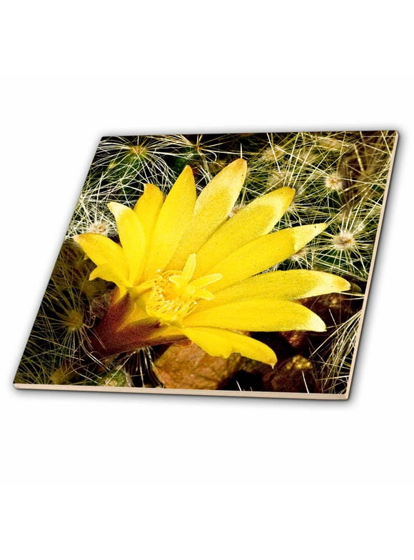 3dRose Decorative colorful garden botanic classic plant SW Southwest Desert cactus green gold flower - Ceramic Tile, 12-inch