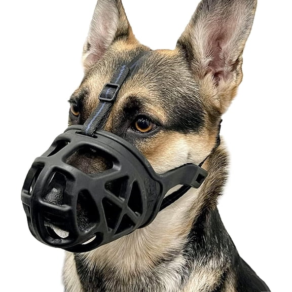 Dog Muzzle – Basket Muzzle for Biting, Chewing and Scavenging – Humane Cage Mouth Cover – Perfect for Grooming and Training Medium Aggressive Reactive Dogs (M, Black)