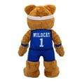 thumbnail image 5 of Bleacher Creatures University of Kentucky Wildcats Wildcat 10" Mascot Plush Figure, 5 of 5